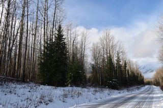 Photo 11: GLACIER GULCH RD ROAD in Smithers: Smithers - Rural Land for sale (Smithers And Area (Zone 54))  : MLS®# R2633357