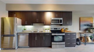 Photo 10: 202 750 Tache Avenue in Winnipeg: St Boniface Condominium for sale (2A)  : MLS®# 202210501