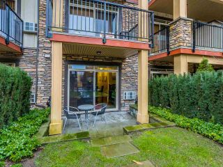 Photo 14: 109 8328 207A Street in Langley: Willoughby Heights Condo for sale in "YORKSON CREEK" : MLS®# R2023319