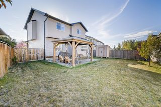 Photo 28: 380 Royal Oak Heights NW in Calgary: Royal Oak Detached for sale : MLS®# A2003862