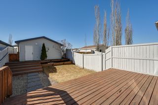Photo 6: 20235 56 Ave NW: Edmonton House Duplex for sale : MLS®# E4238994