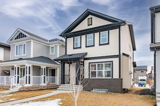 Photo 32: 37 Copperpond Avenue SE in Calgary: Copperfield Detached for sale : MLS®# A1175713