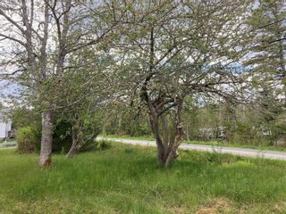 Photo 4: Lot 2 236 Upper Lakeville Road in Upper Lakeville: 35-Halifax County East Residential for sale (Halifax-Dartmouth)  : MLS®# 202212448