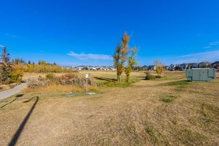 Photo 38: 698 Martindale Boulevard NE in Calgary: Martindale Detached for sale : MLS®# A2012660