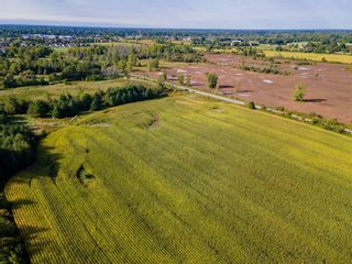 Photo 8: 227 ES CATARACT Road in Thorold: Vacant Land for sale : MLS®# H4117393