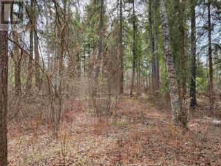 Photo 4: 3263 BOESEM ROAD in Quesnel: Vacant Land for sale : MLS®# R2877614