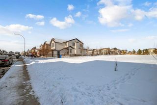 Photo 6: 186 Skyview Shores Crescent NE in Calgary: Skyview Ranch Detached for sale : MLS®# A2097630
