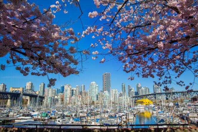 🌷🏡 Spring is in Full Bloom, and so is the Vancouver Real Estate Market! 🌞