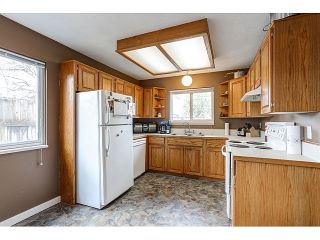 Photo 5: 21167 wicklund Avenue in Maple Ridge: Northwest Maple Ridge House for sale : MLS®# R2046258
