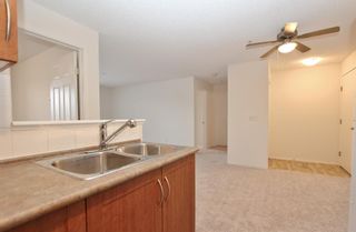 Photo 13: 1318 8 Bridlecrest Drive SW in Calgary: Bridlewood Apartment for sale : MLS®# A2021271