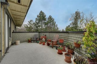 Photo 19: 5 914 St. Charles St in VICTORIA: Vi Rockland Row/Townhouse for sale (Victoria)  : MLS®# 807088