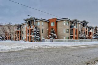 Photo 41: 321 2727 28 Avenue SE in Calgary: Dover Apartment for sale : MLS®# A2022433