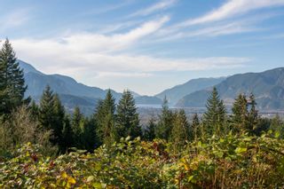 Photo 10: 40781 THUNDERBIRD Ridge in Squamish: Garibaldi Highlands Land for sale in "Stonehaven" : MLS®# R2737646