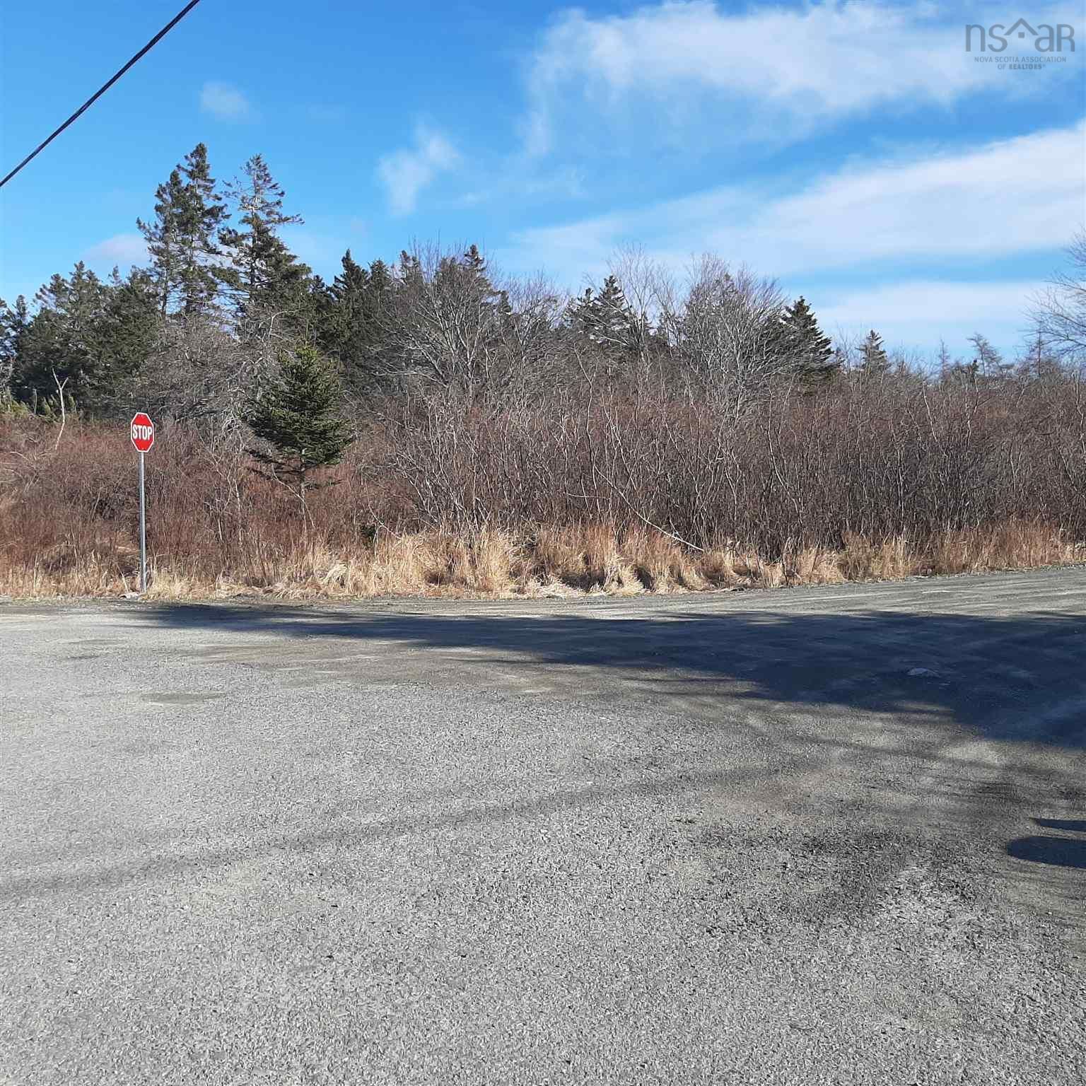 Main Photo: Lot 7 Long Cove Road in Port Medway: 406-Queens County Vacant Land for sale (South Shore)  : MLS®# 202207237