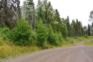 Photo 5: LOT 13 GRANTHAM Road in Smithers: Smithers - Rural Land for sale in "Grantham" (Smithers And Area (Zone 54))  : MLS®# R2604020