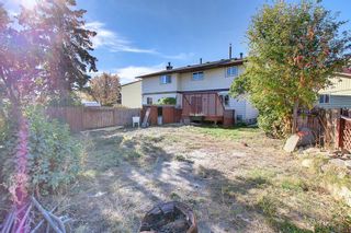 Photo 34: 36 Pinelore Place NE in Calgary: Pineridge Semi Detached (Half Duplex) for sale : MLS®# A2006468