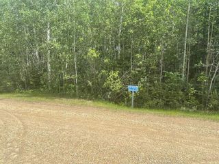 Photo 1: 29, 480012 RR 274 in Rural Wetaskiwin No. 10, County of: Rural Wetaskiwin County Residential Land for sale : MLS®# A2115520