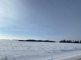 Photo 7: 26008 TWP  RD 543: Rural Sturgeon County Rural Land/Vacant Lot for sale : MLS®# E4227179