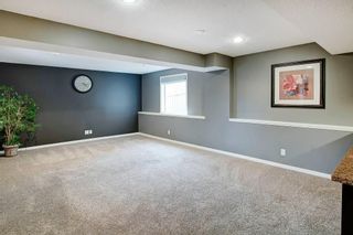 Photo 25: 381 KINCORA GLEN Rise NW in Calgary: Kincora Detached for sale : MLS®# C4214320