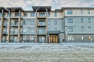 Photo 1: 4203 200 Seton Circle SE in Calgary: Seton Apartment for sale : MLS®# A2015770