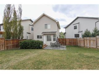 Photo 6: 230 CRANBERRY Close SE in Calgary: Cranston House for sale : MLS®# C4063122