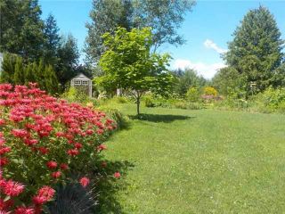 Photo 3: 44 Trent River S. Road in Kawartha Lakes: Rural Carden House (1 1/2 Storey) for sale : MLS®# X3729352