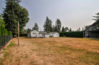 Photo 3: 4689 238 Street in Langley: Salmon River House for sale : MLS®# R2327028