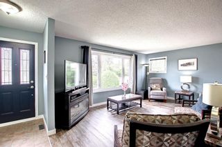 Photo 4: 8827 48 Avenue NW in Calgary: Bowness Detached for sale : MLS®# A1250820