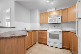 Photo 15: 210 428 Chaparral Ravine View SE in Calgary: Chaparral Apartment for sale : MLS®# A2114017