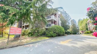 Photo 15: 131 7651 MINORU Boulevard in Richmond: Brighouse South Condo for sale in "Cypress Point" : MLS®# R2879864