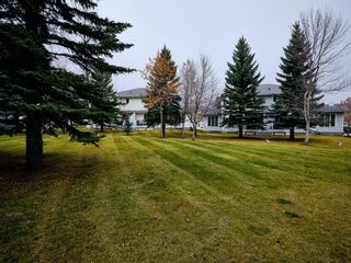 Photo 25: 59 Scenic Gardens NW in Calgary: Scenic Acres Semi Detached for sale : MLS®# A1157522
