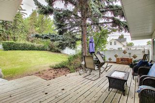 Photo 16: 635 Tavender Road NW in Calgary: Thorncliffe Detached for sale : MLS®# A1117186