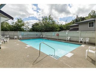 Photo 19: 18 36060 OLD YALE Road in Abbotsford: Abbotsford East Townhouse for sale in "Mountainview Village" : MLS®# R2220092