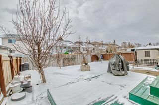 Photo 33: 41 Applewood Court SE in Calgary: Applewood Park Detached for sale : MLS®# A2035209