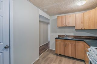 Photo 17: 3343 Doverthorn Road SE in Calgary: Dover Semi Detached (Half Duplex) for sale : MLS®# A2031283