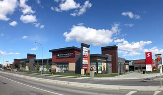 Photo 46: 35 Cityscape Way NE in Calgary: Cityscape Detached for sale : MLS®# A2017583