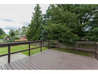 Photo 13: 26649 32A AVENUE in Langley: Aldergrove Langley House for sale : MLS®# R2082354