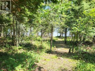 Photo 5: 46 Goose Gap Crescent in Barrie Island: Vacant Land for sale : MLS®# 2110334