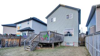 Photo 2: 69 saddlehorn Crescent in Calgary: Saddle Ridge Detached for sale : MLS®# A2121610