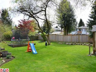 Photo 9: 11502 94A Avenue in Delta: Annieville House for sale (N. Delta)  : MLS®# F1210507