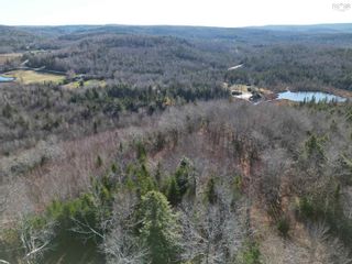 Photo 4: Lot Old MacBeth Road in Meiklefield: 108-Rural Pictou County Vacant Land for sale (Northern Region)  : MLS®# 202305463