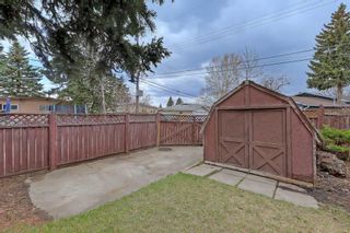 Photo 11: 4311 19 Street NW in Calgary: Charleswood Detached for sale : MLS®# A2127918