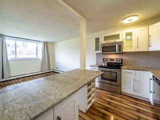 Photo 5: 104 1817 16 Street SW in Calgary: Bankview Apartment for sale : MLS®# A1230169