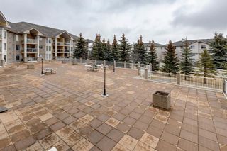 Photo 17: 332 728 Country Hills Road NW in Calgary: Country Hills Apartment for sale : MLS®# A2042053