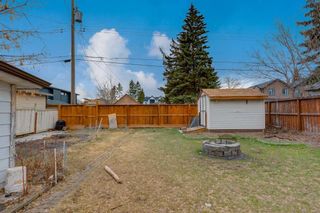 Photo 27: 4635 81 Street NW in Calgary: Bowness Detached for sale : MLS®# A2123270