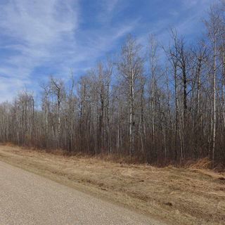 Photo 19: 515 54411 RR 40: Rural Lac Ste. Anne County Rural Land/Vacant Lot for sale : MLS®# E4239945