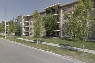 Photo 1: 307 7180 80 Avenue NE in Calgary: Saddle Ridge Apartment for sale : MLS®# A1252879