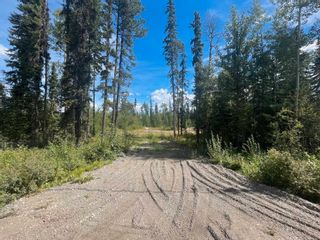 Photo 4: 10000 HARTMAN Road in Prince George: Western Acres Land for sale (PG City South West)  : MLS®# R2806573