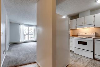 Photo 15: 110 280 Banister Drive: Okotoks Apartment for sale : MLS®# A2128088