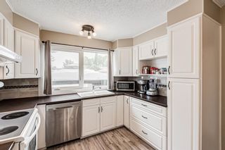 Photo 18: 484 Midridge Drive SE in Calgary: Midnapore Detached for sale : MLS®# A2077655